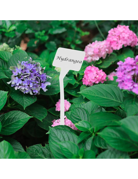 Etiquetas de Planta HOVEOX 24 Pcs Plástico Blanco 30.48 cm