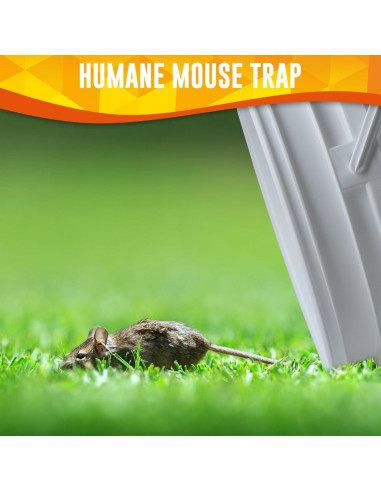 Trampa para Ratones de Cubo CONIJIWA Reutilizable 2 Unidades