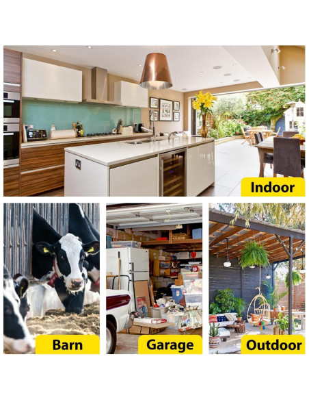 Trampa para Ratones de Cubo CONIJIWA Reutilizable 2 Unidades