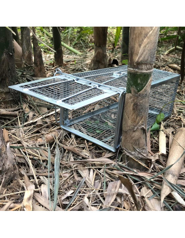 Trampa Humana para Ratas Gingbau Mediana 31.2x16.8x13.5cm