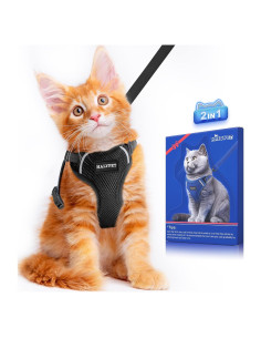 Conjunto Arnés y Correa para Gato Halypet H200 Pro Negro