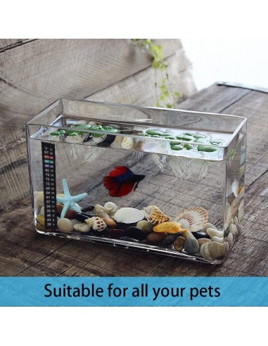 Termómetro Adhesivo para Acuario Kombucha J710654936357 4-36C