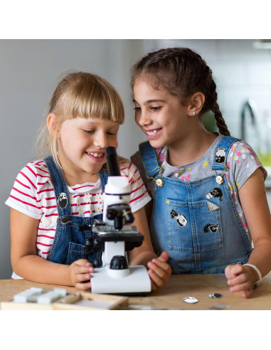 16 Pines de Esmalte Gato Negro Juexica - Accesorios Kawaii