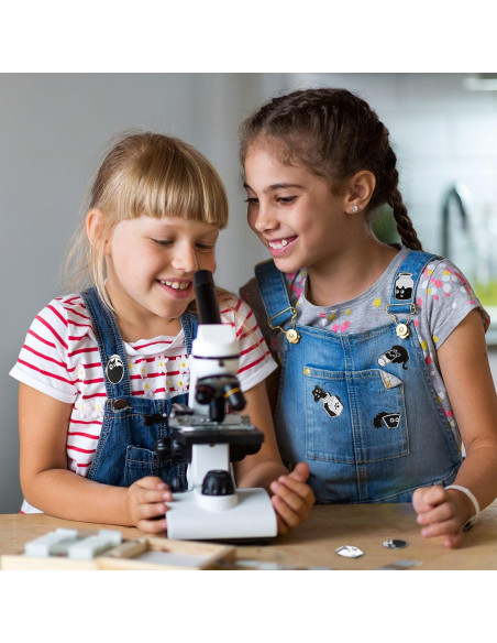 16 Pines de Esmalte Gato Negro Juexica - Accesorios Kawaii