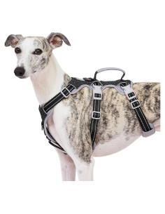 Arnés para Perros HUNTBOO XS Negro Reflectante Ajustable