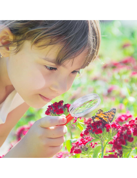 Lentes de Aumento Plásticos Aodaer 3X 12 Paquete Coloridos