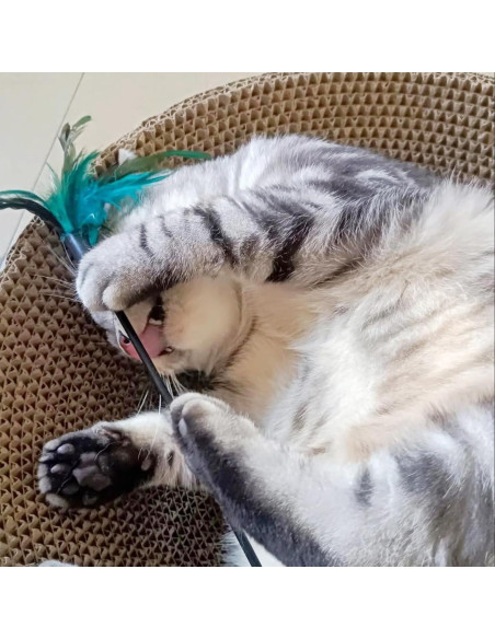 4 Varitas Interactivas para Gatos IUHKBH con Plumas y Campana