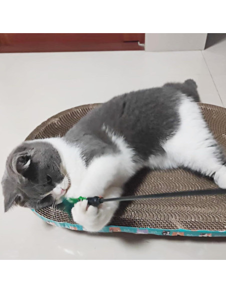 4 Varitas Interactivas para Gatos IUHKBH con Plumas y Campana