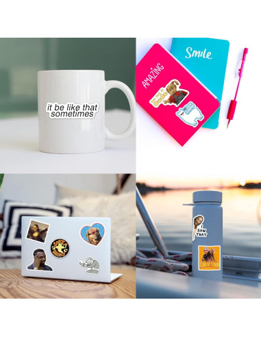 Paquete de 306 Pegatinas de Meme Divertidas Puraesla - Vinilo Impermeable