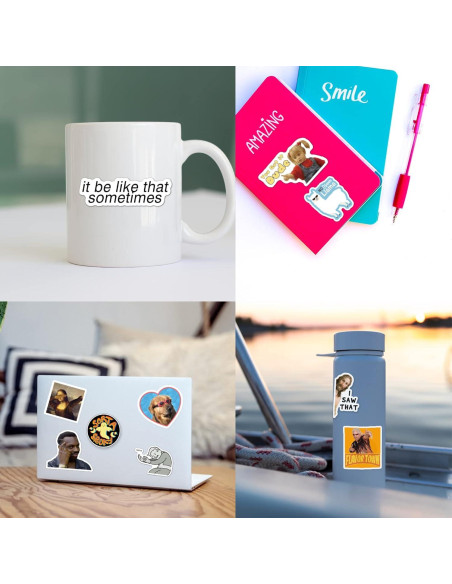 Paquete de 306 Pegatinas de Meme Divertidas Puraesla - Vinilo Impermeable