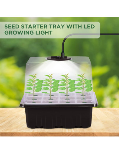 Bandeja de Inicio de Semillas Seedfactor con Luz y Domos 6PCS