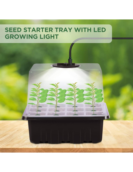 Bandeja de Inicio de Semillas Seedfactor con Luz y Domos 6PCS