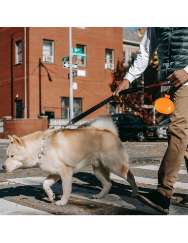 Bolsa de Golosinas para Perros Nuevo Oasis 283.5g Azul/Naranja
