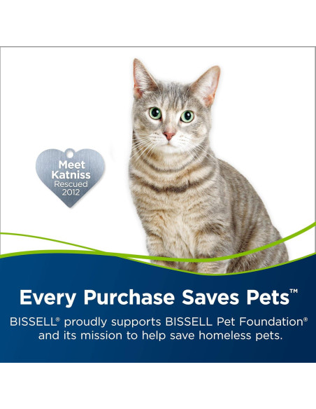 Fórmula para Manchas y Olores de Mascotas BISSELL 74R7 946ml