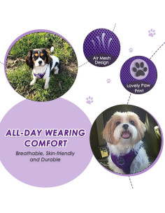 Arnés de Perro Lukovee Ajustable para Auto XXX-Pequeño Púrpura 2