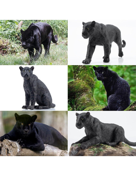 Figuras de Animales Pantera Negra TOYMANY 7 Piezas Realistas