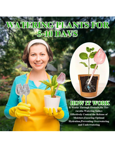 4 Esferas de Vidrio Autorriego XYElite para Plantas - Rosa