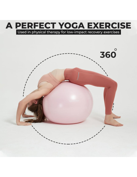 Silla de Pelota de Ejercicio NEUMEE 65 cm con Bandas de Resistencia