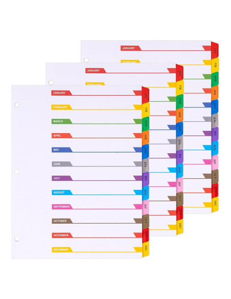 Separadores Mensuales A4 Multicolor LE PAPILLION - 12 Pestañas