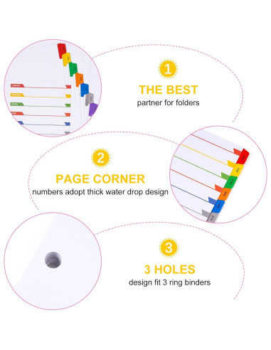 Separadores Mensuales A4 Multicolor LE PAPILLION - 12 Pestañas