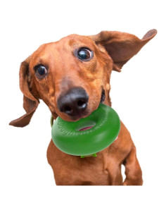 Juguete de goma para perros Goughnuts Mediano Verde 9.5cm