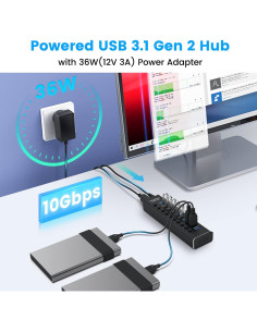Hub USB 3.1 Rosonway 10 Puertos 10Gbps Alimentado 36W 2