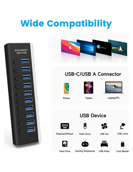 Hub USB 3.1 Rosonway 10 Puertos 10Gbps Alimentado 36W