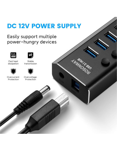Hub USB 3.1 Rosonway 10 Puertos 10Gbps Alimentado 36W