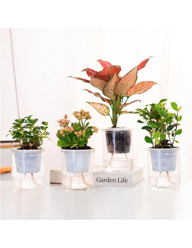 Cuerda de Riego Capilar ORIMERC 4.57m 1/6" para Plantas