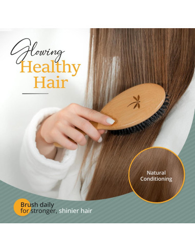 Cepillo de Cerdas de Jabalí Belula para Cabello Fino - Set Completo