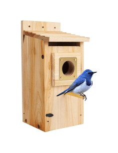 Casa para Aves ColorfulLaVie de Madera 63x27x11 cm con Protector