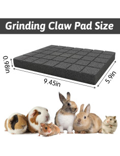 Almohadillas para Rascar Conejos Hamiledyi 4 PCS Roca de Lava 2