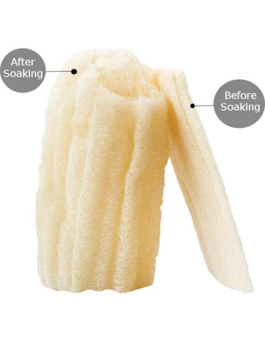 Esponja de Lufa Natural Egipcia Exfoliante 1 Unidad - Egyptian King