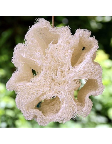 Esponja de Lufa Natural Egipcia Exfoliante 1 Unidad - Egyptian King