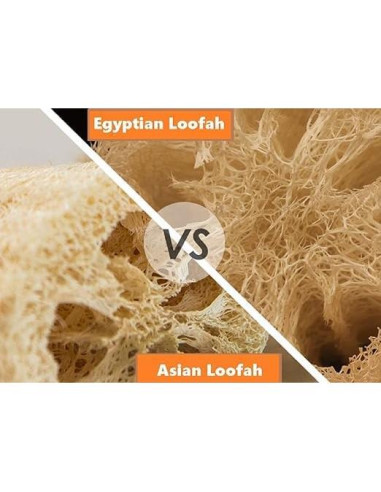 Esponja de Lufa Natural Egipcia Exfoliante 1 Unidad - Egyptian King