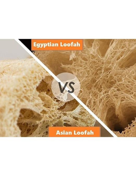 Esponja de Lufa Natural Egipcia Exfoliante 1 Unidad - Egyptian King