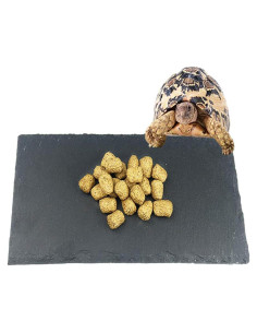 Plataforma de Sol para Tortugas Tfwadmx 30x15cm Roca Natural