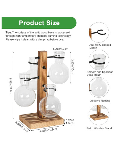 Kit de Terrarios de Plantas Hongsheng con 4 Jarrones de Vidrio