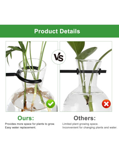 Kit de Terrarios de Plantas Hongsheng con 4 Jarrones de Vidrio