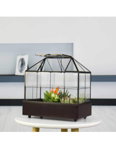 Terrario de Vidrio Grande YIMORENCE con Tapa y Bandeja 24.1x24.9cm 2