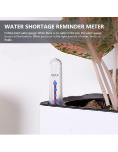 Medidor de Nivel de Agua DOITOOL 2 Piezas para Macetas 2