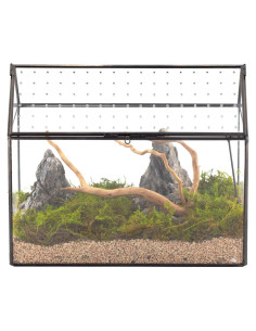 Terrario de vidrio NCYP en forma de casa 25.9x15.0x20.8 cm