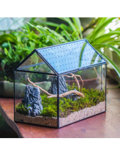Terrario de vidrio NCYP en forma de casa 25.9x15.0x20.8 cm 2