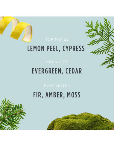 Vela de Navidad Santa's Naturals Abeto Fraser 255g - Quema 30h