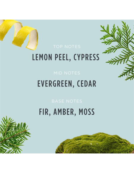 Vela de Navidad Santa's Naturals Abeto Fraser 255g - Quema 30h