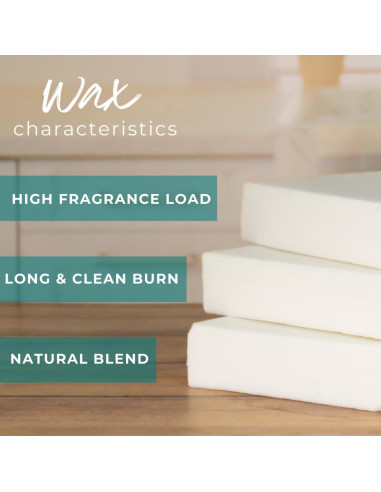 Cera de Coco y Soja para Velas Direct Candle Supply 4.54 kg + 50 Mechas