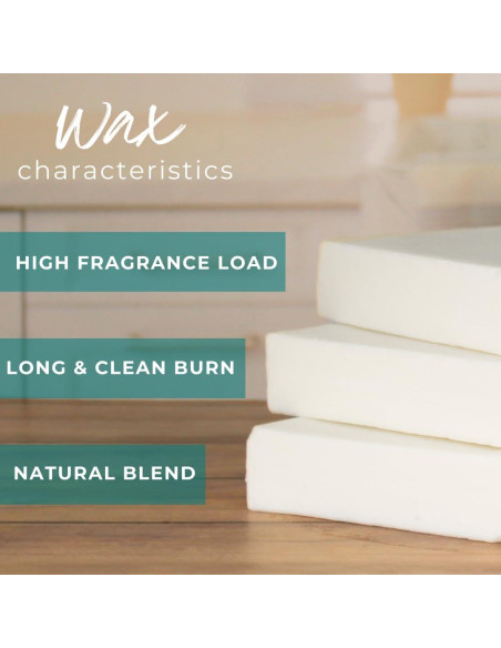 Cera de Coco y Soja para Velas Direct Candle Supply 4.54 kg + 50 Mechas