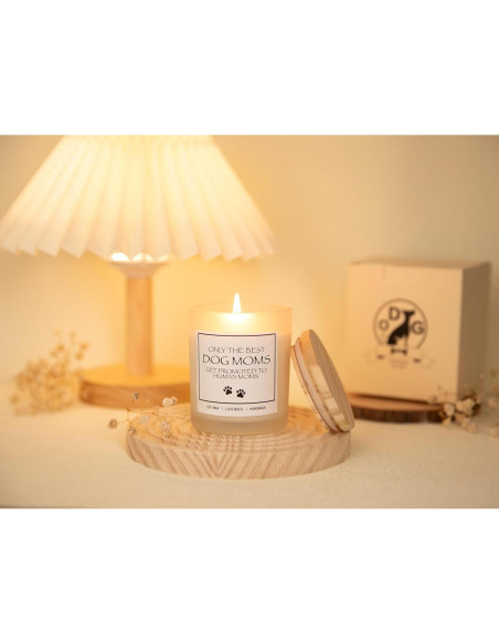 Vela Aromática Lavanda Amigable con Mascotas - Regalo Divertido Vela Aromática Lavanda Amigable con Mascotas - Regalo Divertido