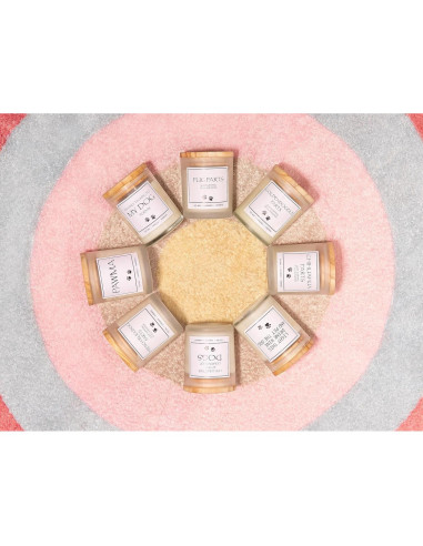 Vela Aromática Lavanda Amigable con Mascotas - Regalo Divertido