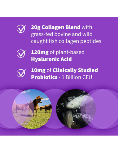 Suplemento de colágeno marino Garden of Life 20g sin sabor